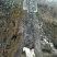 纯野生训养富硒山羊