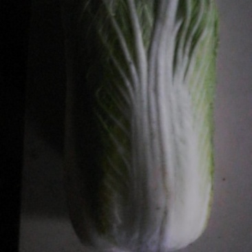 白菜，