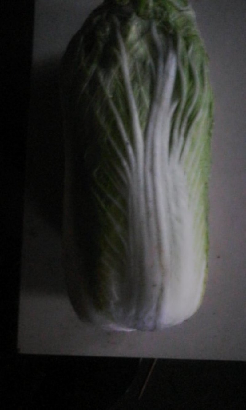 白菜，