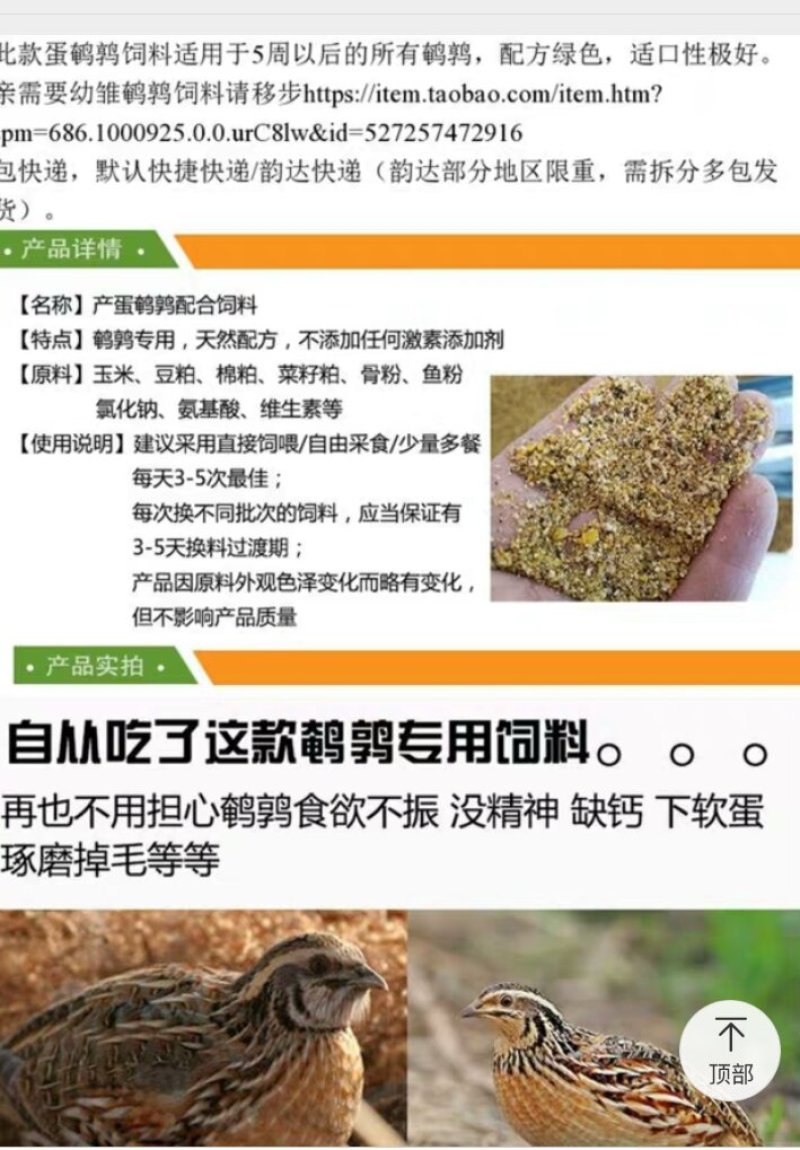 补充营养，鹌鹑吃了会下蛋的饲料！
