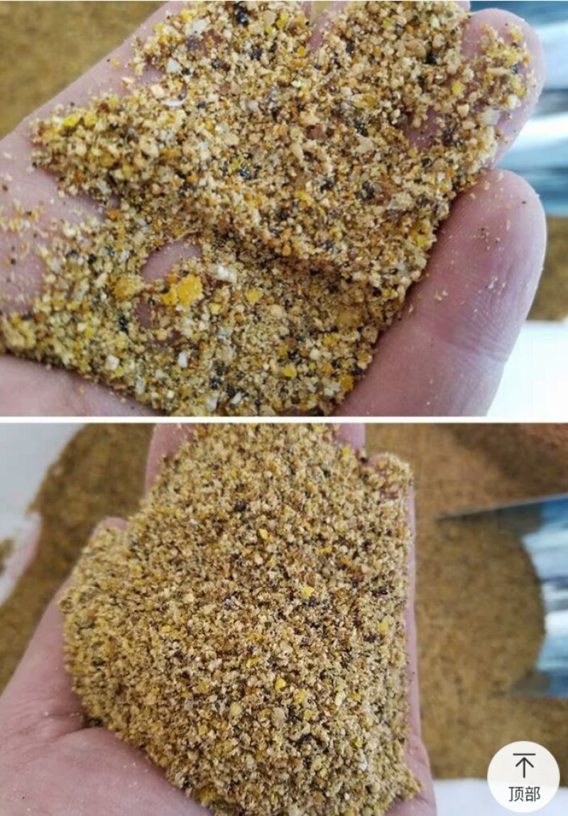 补充营养，鹌鹑吃了会下蛋的饲料！