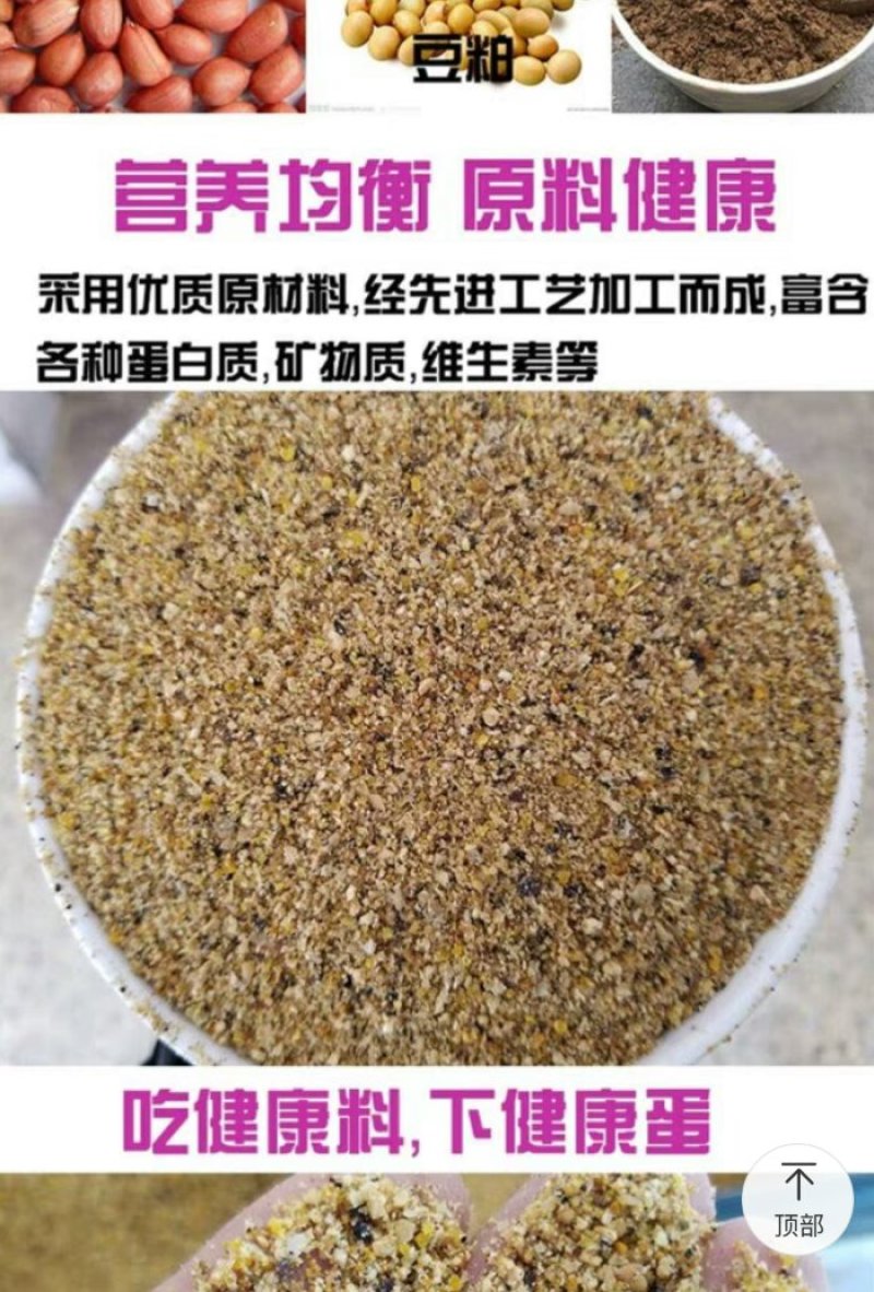 补充营养，鹌鹑吃了会下蛋的饲料！