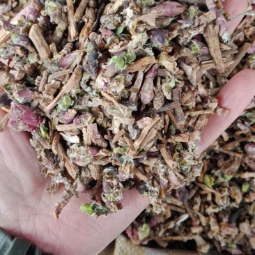 款冬花统货冬花各种中药材批发零售各种规格中药材