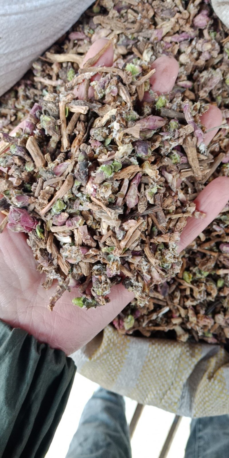 款冬花统货冬花各种中药材批发零售各种规格中药材