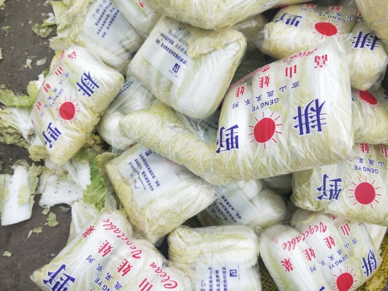 娃娃菜