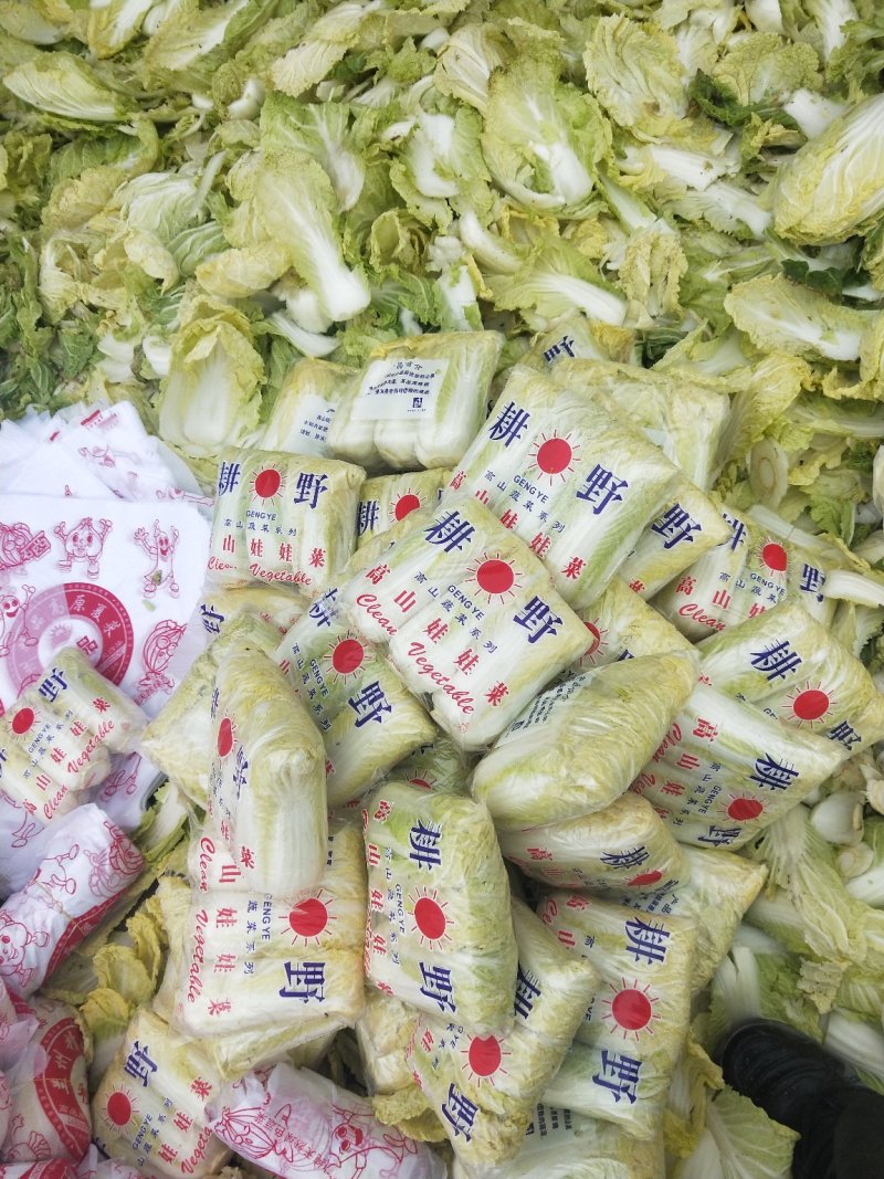 娃娃菜