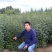 花椒苗大红袍花椒苗九叶青花椒苗品种齐全