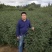 花椒苗大红袍花椒苗九叶青花椒苗品种齐全
