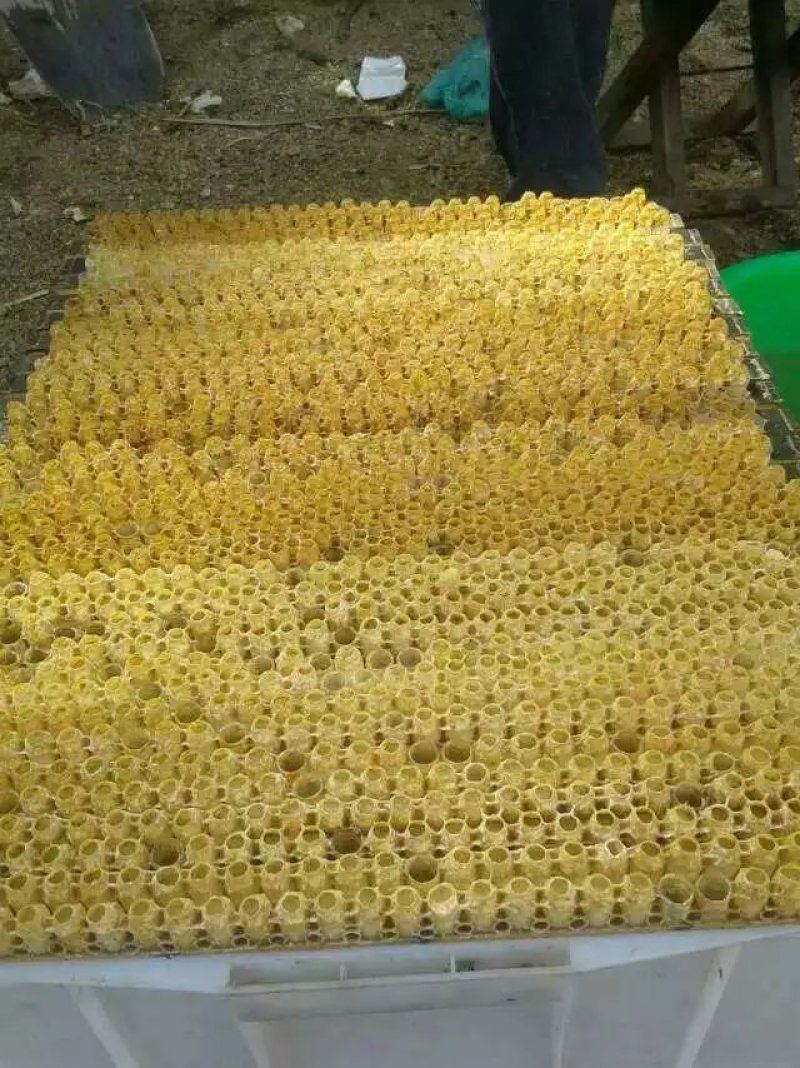 包邮长白山当地蜂王浆假一赔十特稠无过滤