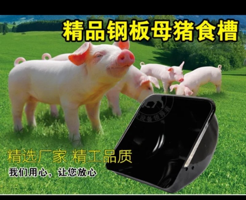 食槽料槽料桶三爪钢板母猪食槽母猪料槽产床料槽定位栏猪槽下
