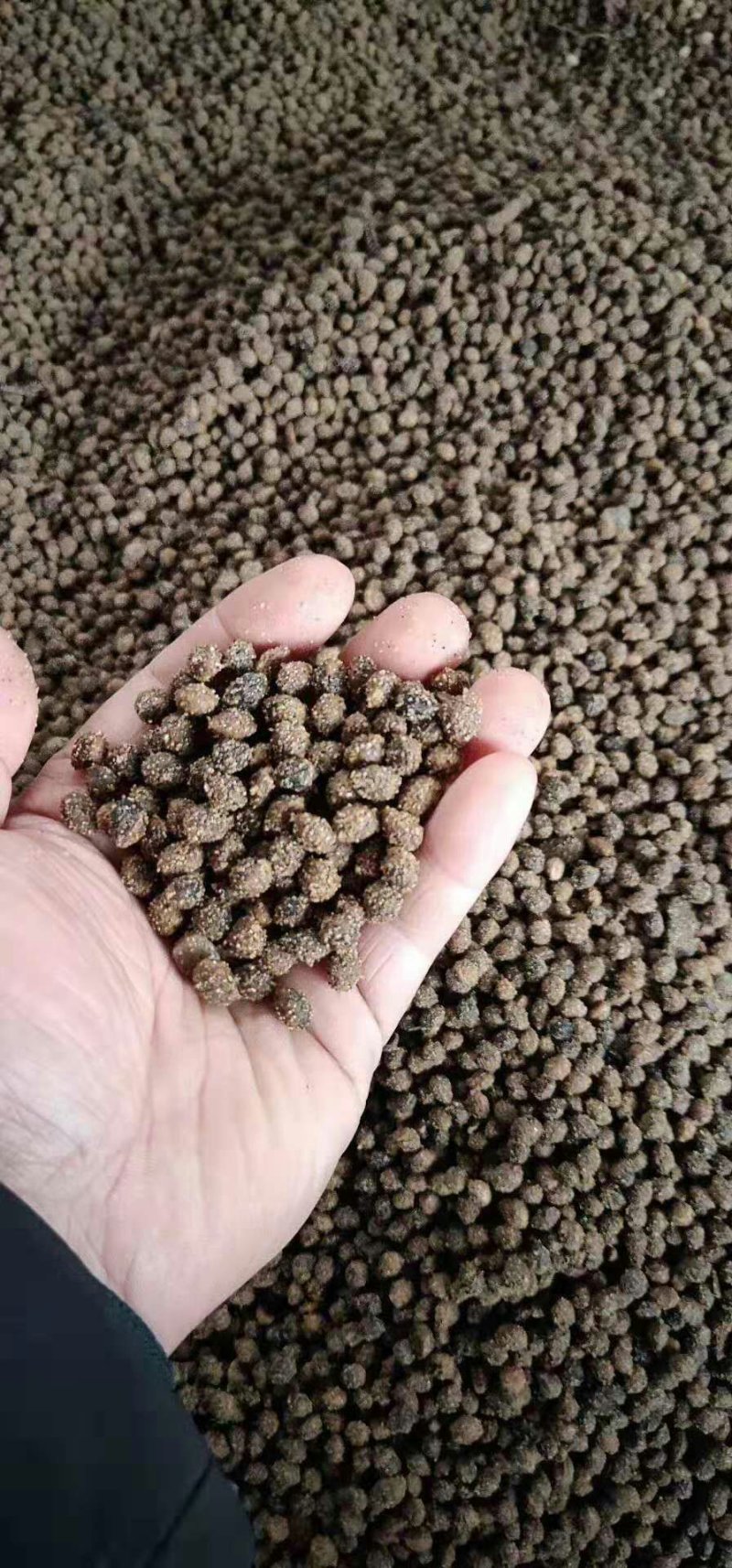 批发樱桃树苗矮化嫁接吉塞拉占木结果早1-5樱桃苗价格便宜