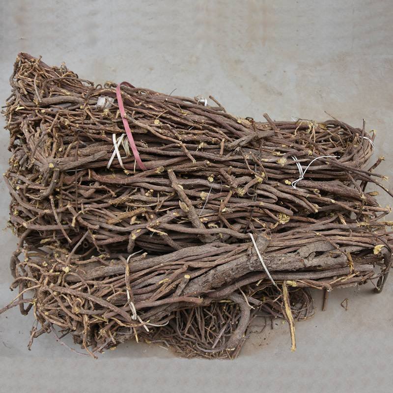 红皮甘草