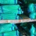 金杞精品，蒜薹！基地直发一手货源500顿，新品蒜台，欢迎