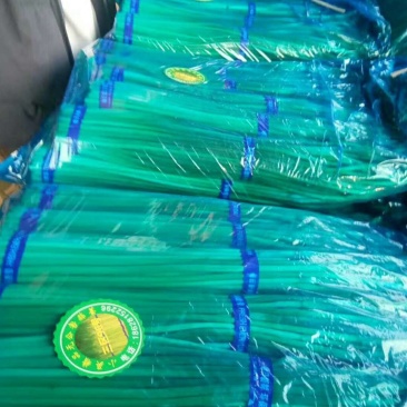 金杞精品，蒜薹！基地直发一手货源500顿，新品蒜台，欢迎