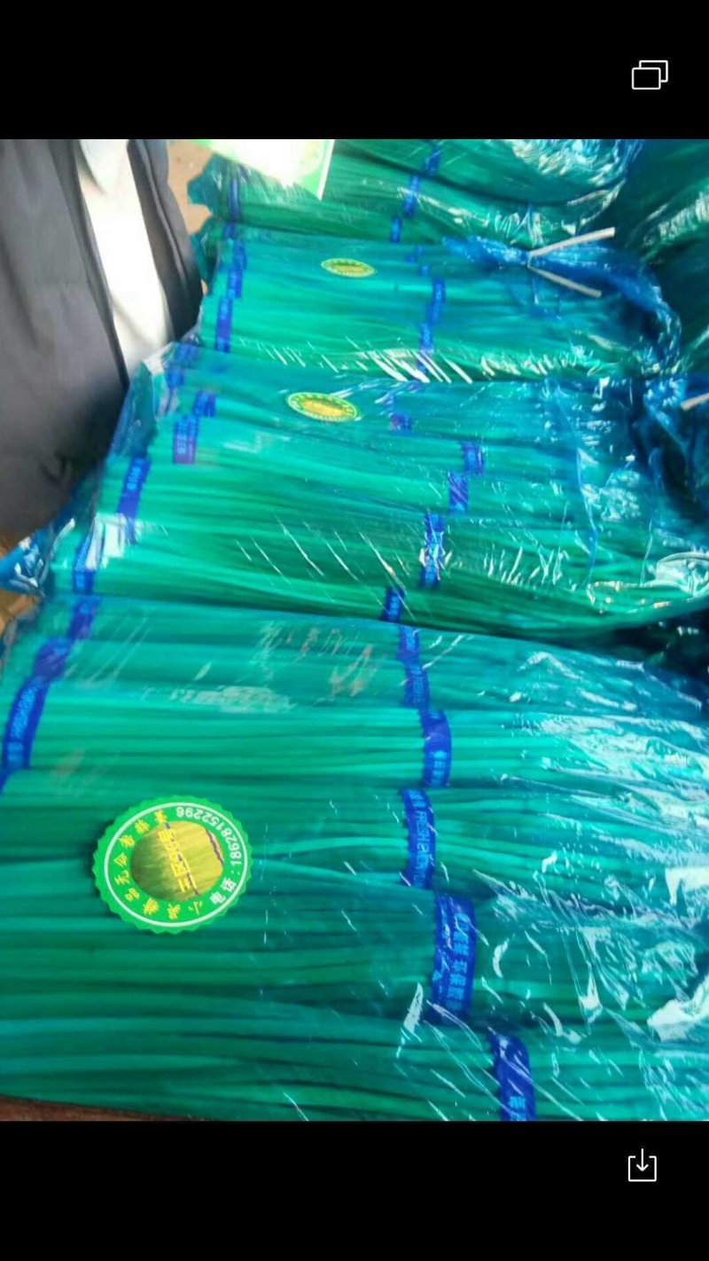 金杞精品，蒜薹！基地直发一手货源500顿，新品蒜台，欢迎