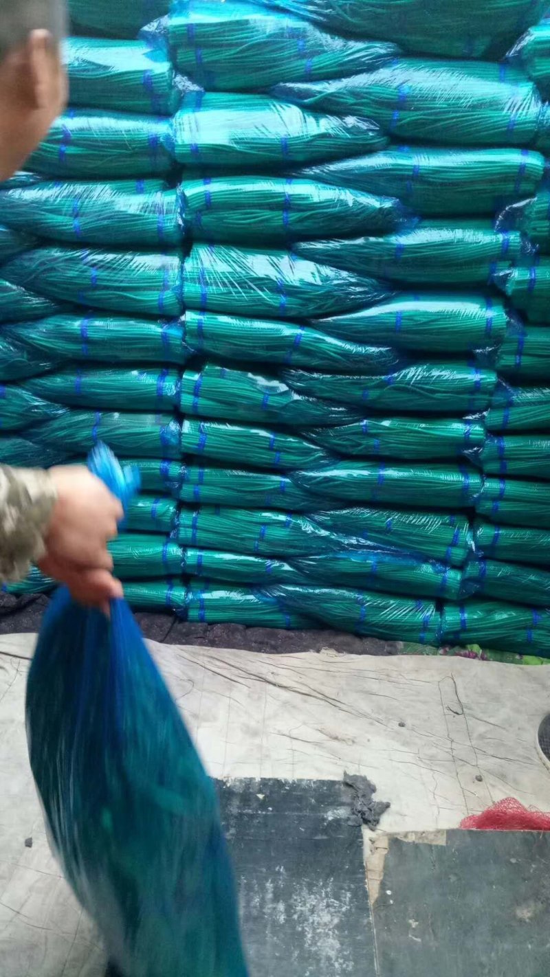 金杞精品，蒜薹！基地直发一手货源500顿，新品蒜台，欢迎