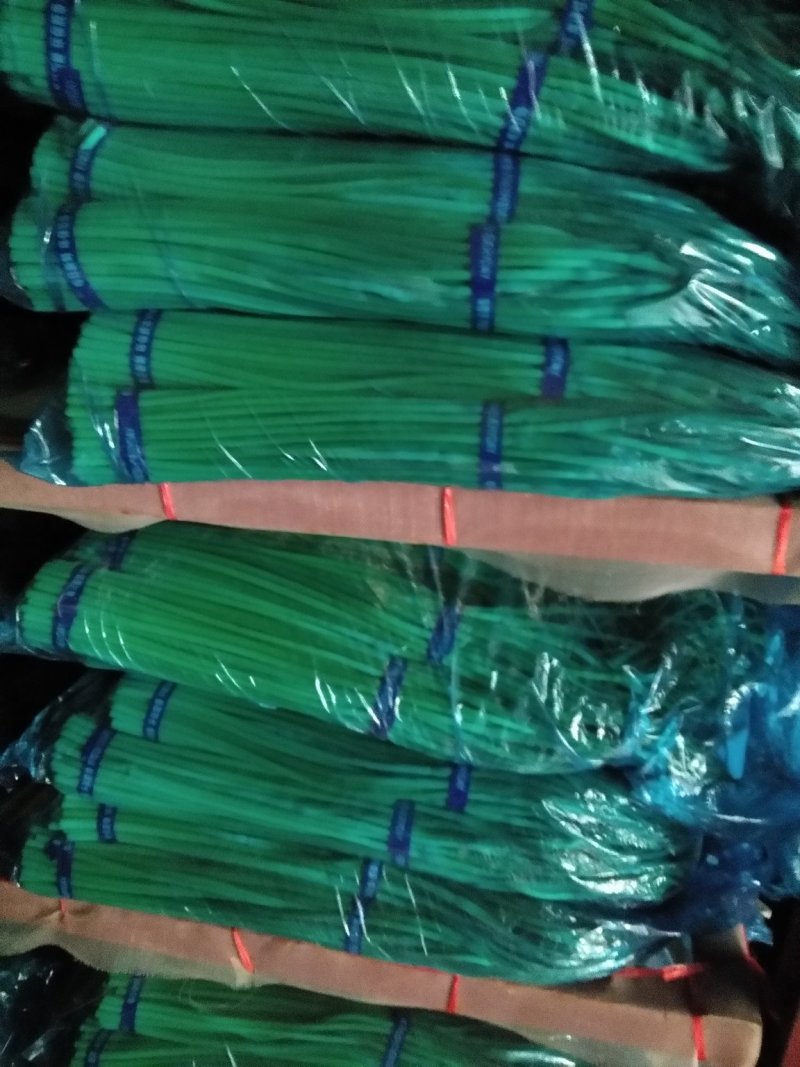 金杞精品，蒜薹！基地直发一手货源500顿，新品蒜台，欢迎