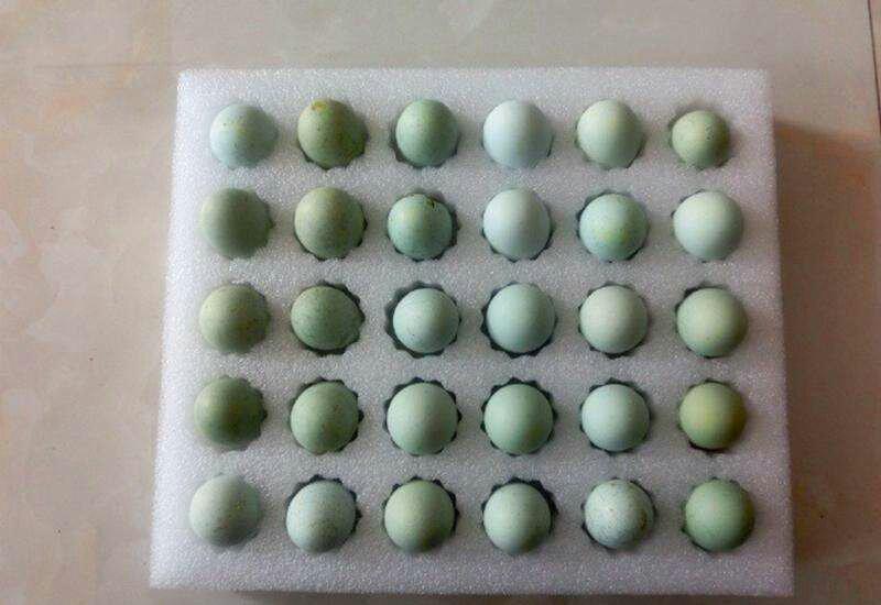 绿壳乌鸡蛋，土鸡蛋