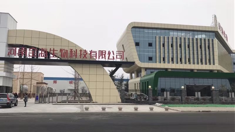 河南金海生物羊肚菌菌种推广，免费学习种植技术