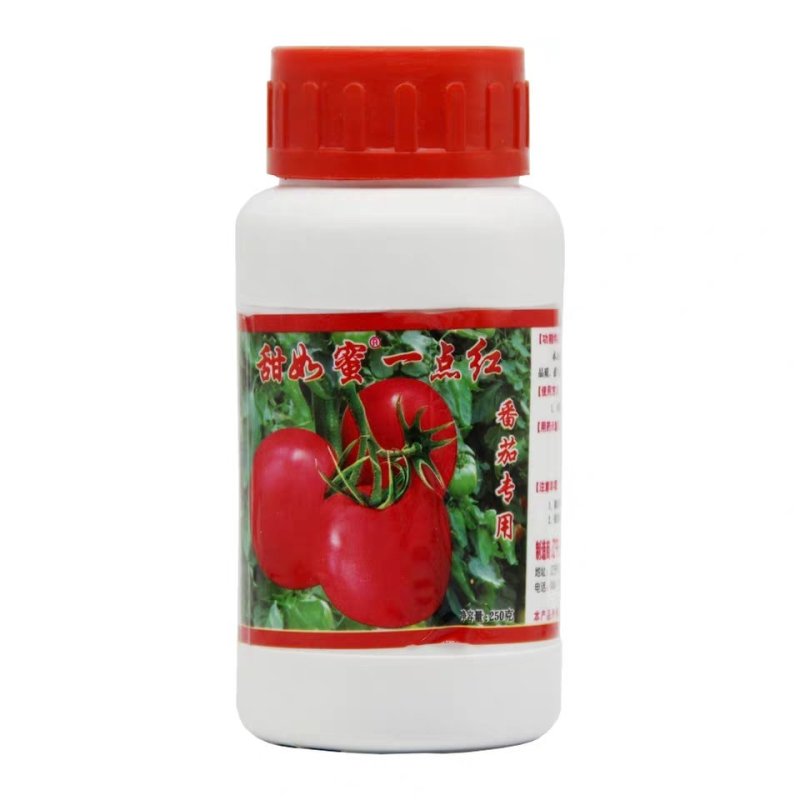甜如蜜一点红，番茄专用一点红西红柿