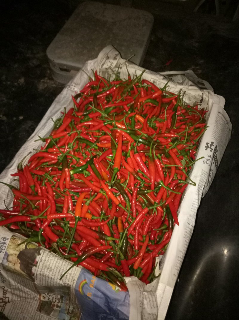 新鲜小米辣