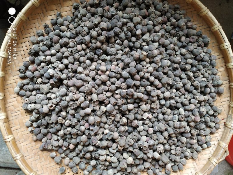 稔子干