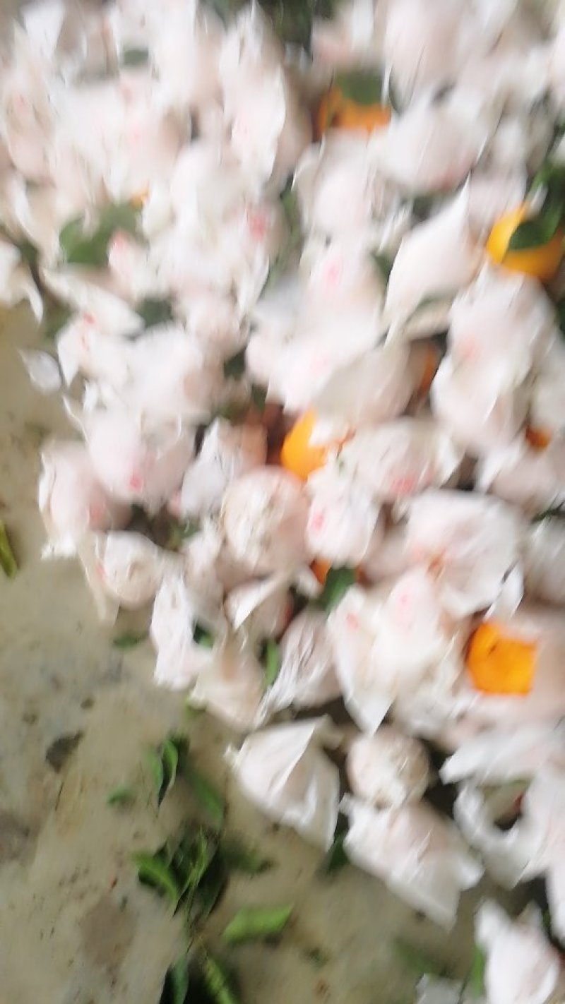 高规格次果，需要的朋友速联系