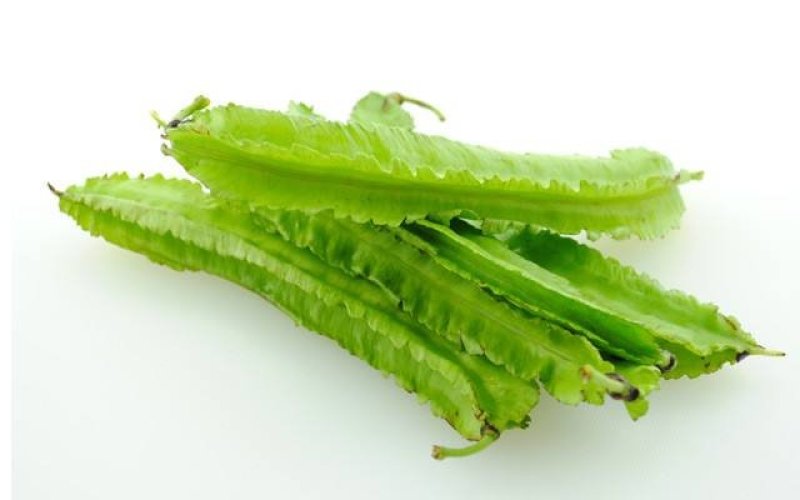 四棱豆种子蔬菜种子