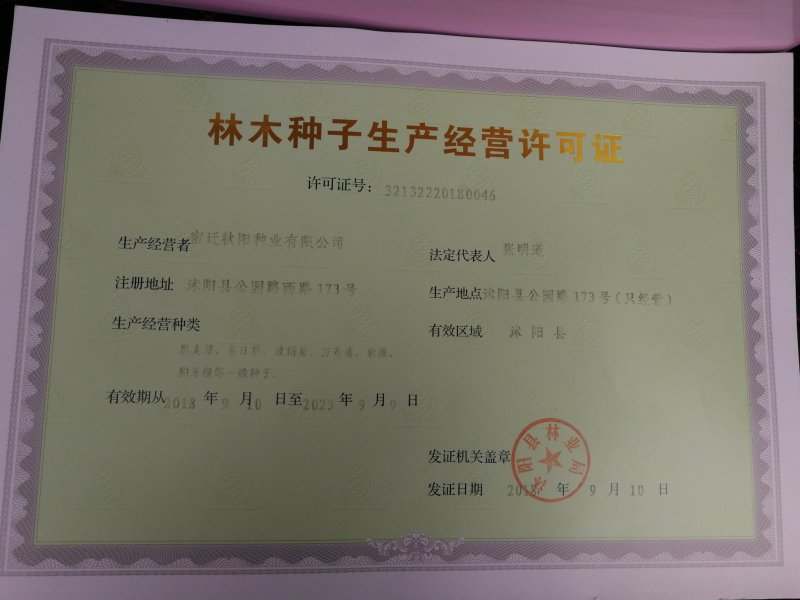 四棱豆种子蔬菜种子