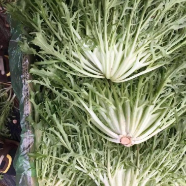 蔬菜
