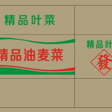 蔬菜纸箱包装