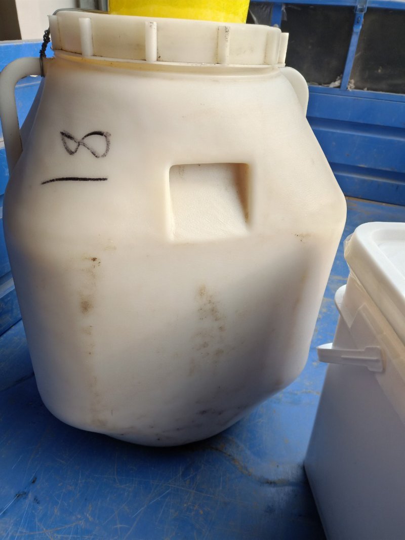 2020年新鲜结晶油菜蜜液体41度蜂蜜