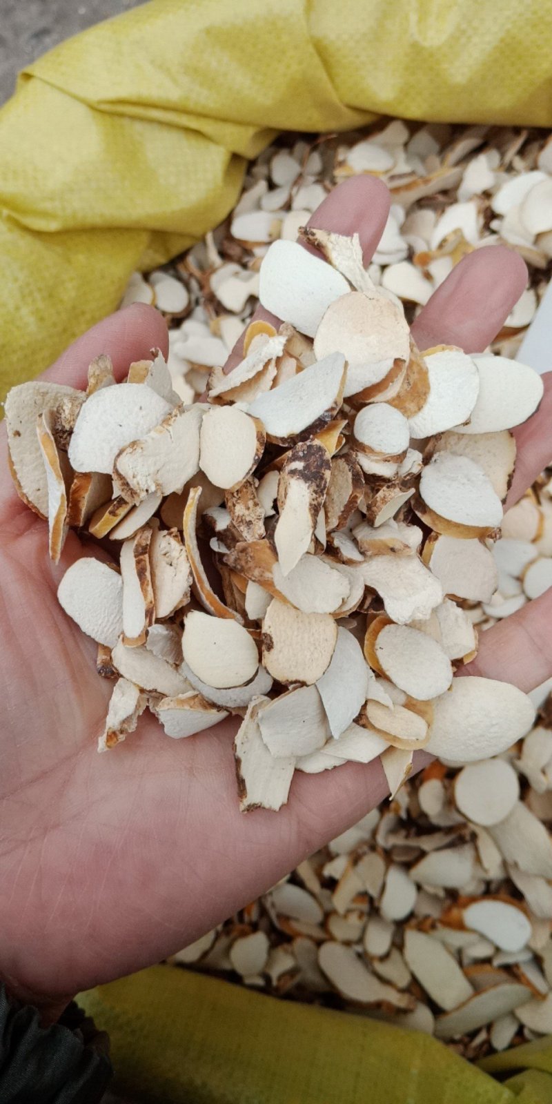 穿山龙川山龙中药材各种中药材批发零售各种规格