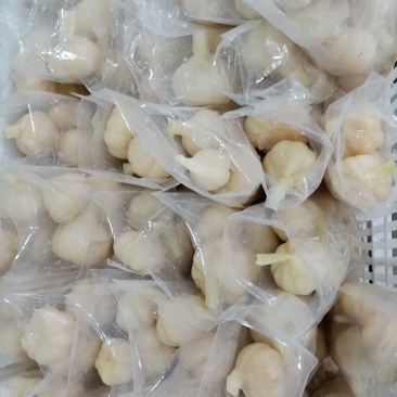 2019年老糖醋蒜批发