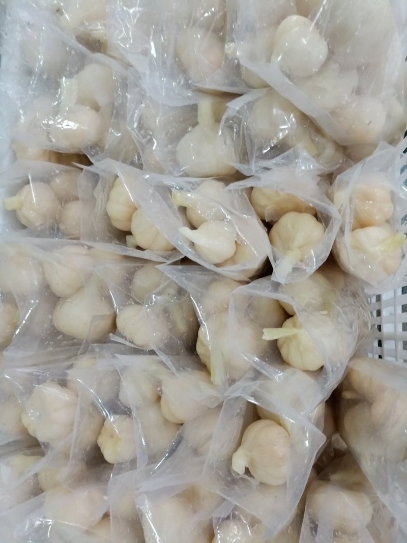2019年老糖醋蒜批发