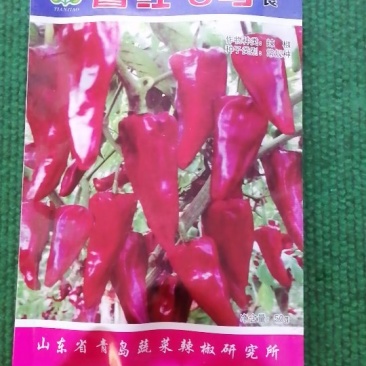 辣椒种子