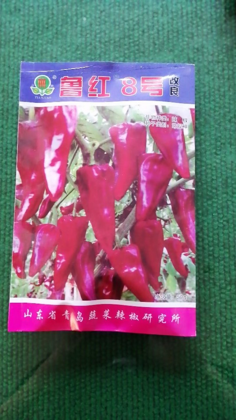 辣椒种子
