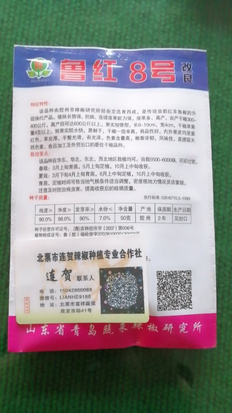 辣椒种子
