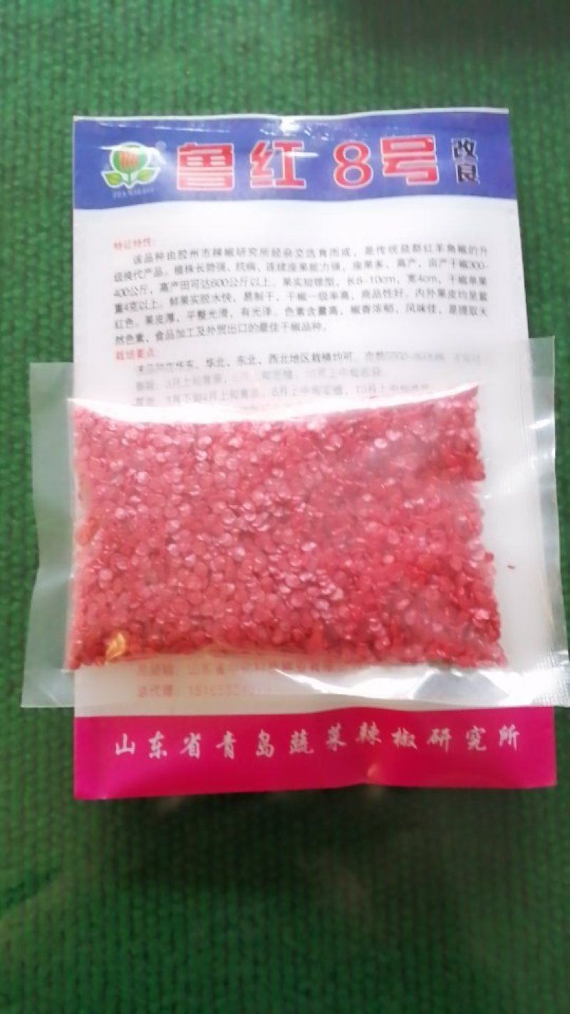 辣椒种子