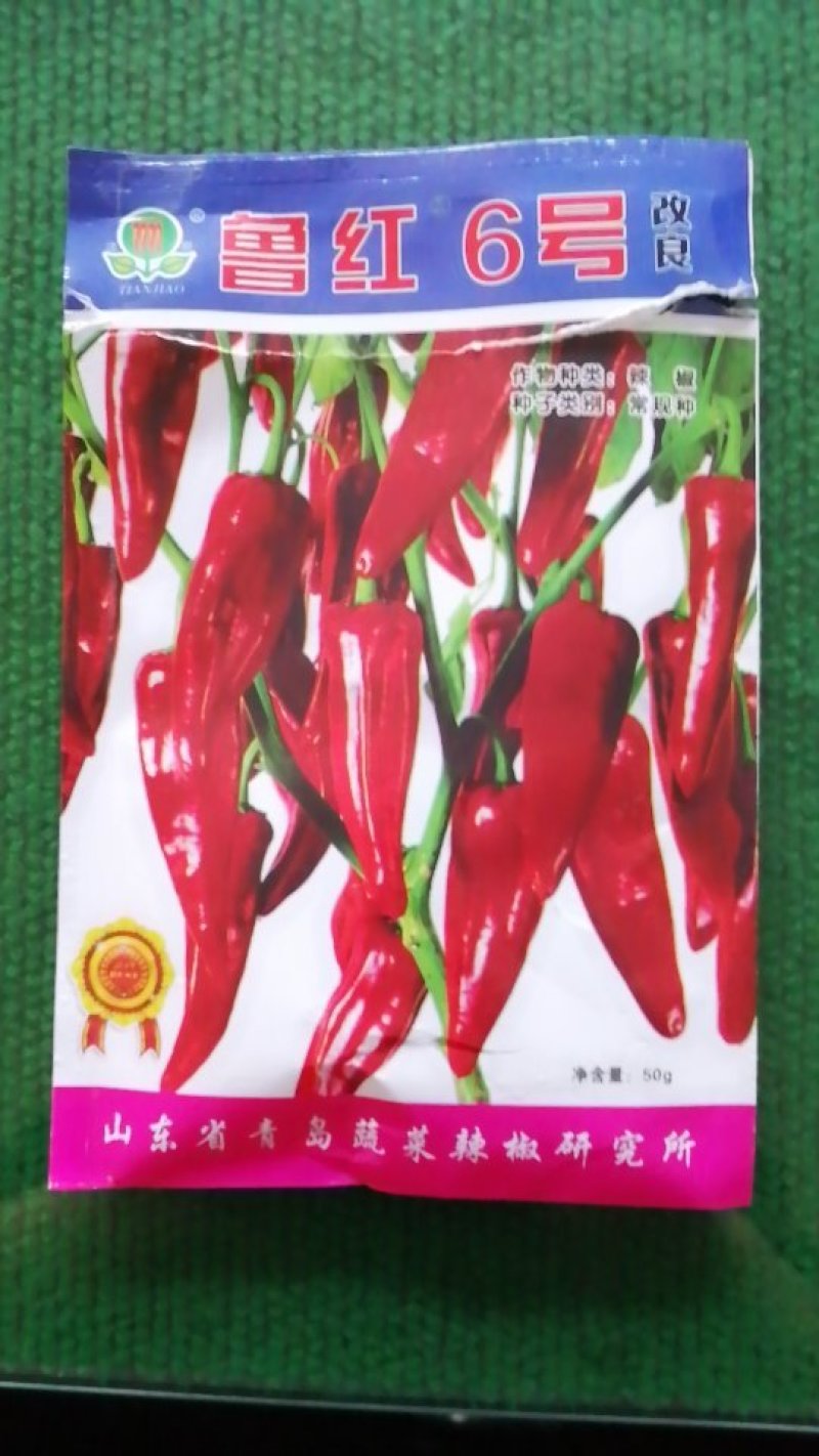 辣椒种子