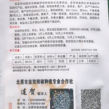 辣椒种子