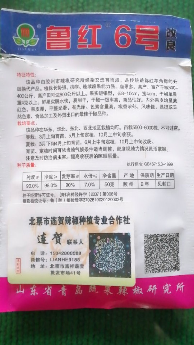 辣椒种子