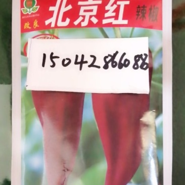 北京红辣椒种子