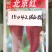 北京红辣椒种子