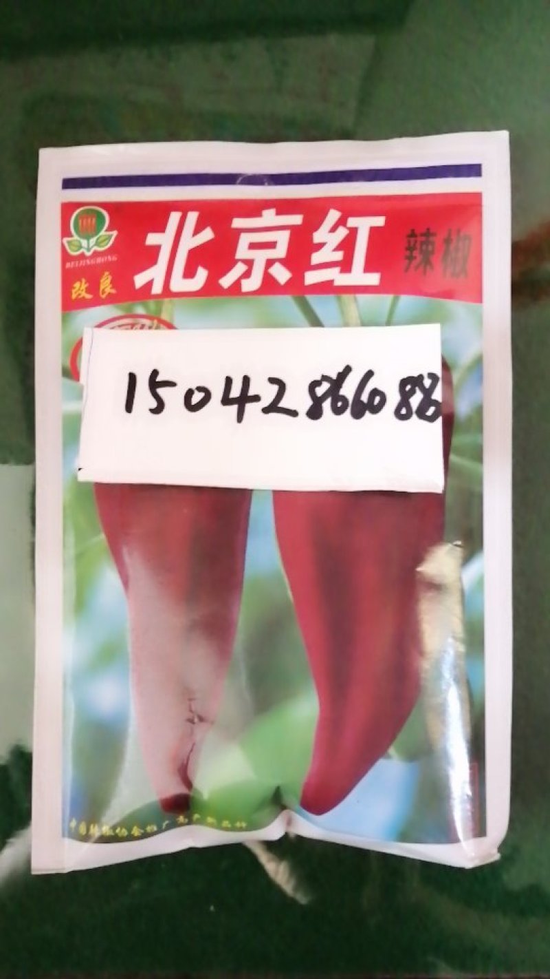 北京红辣椒种子
