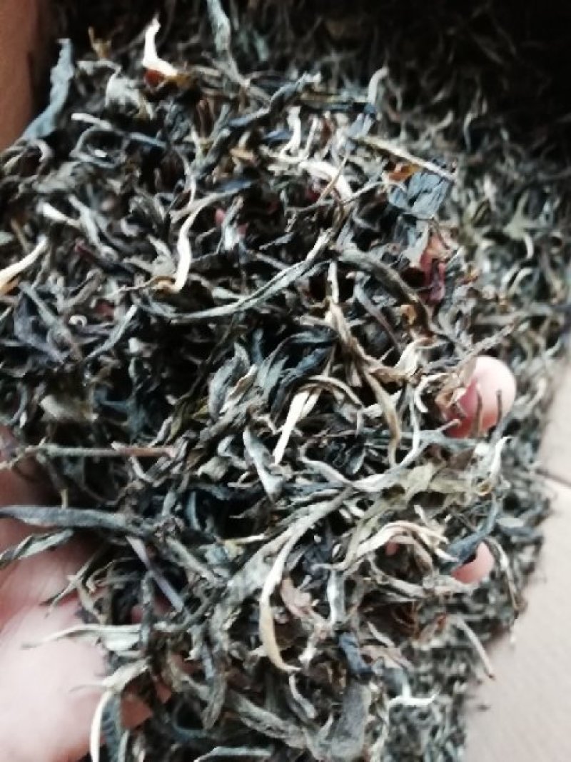 邦崴秘境古树茶