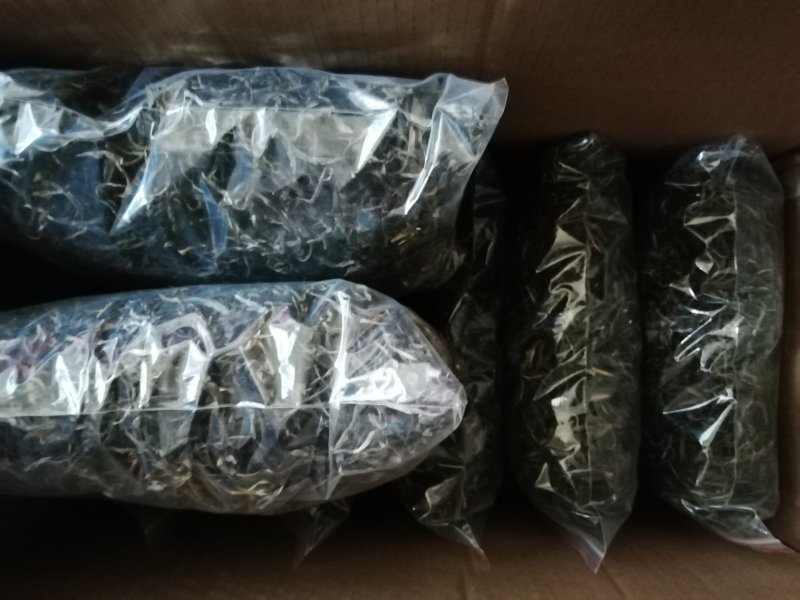 邦崴秘境古树茶