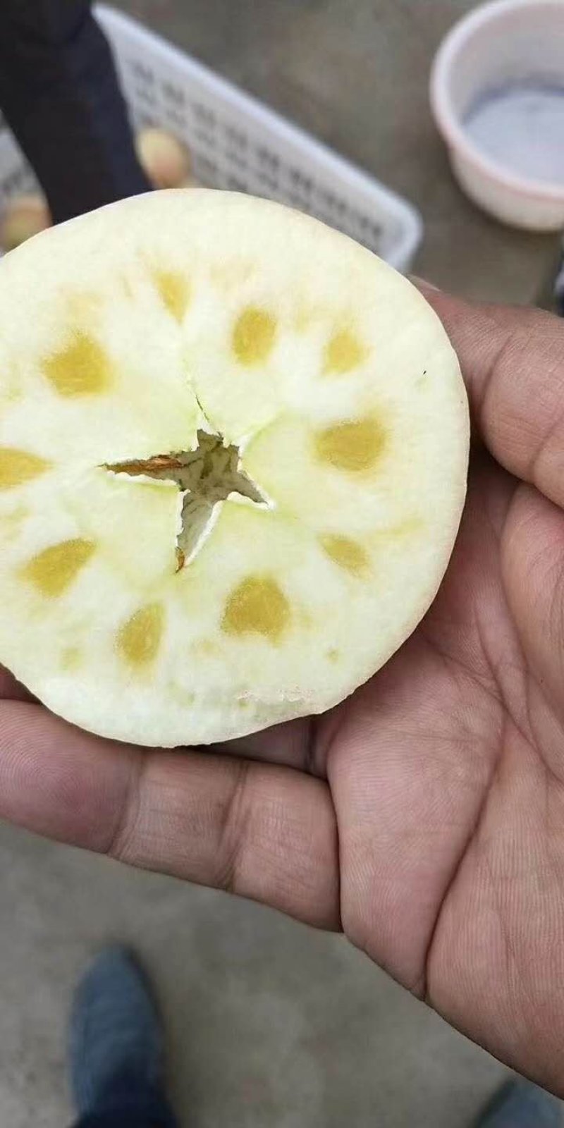 正宗新疆阿克苏苹果，产地直供，冰糖心苹果80~90