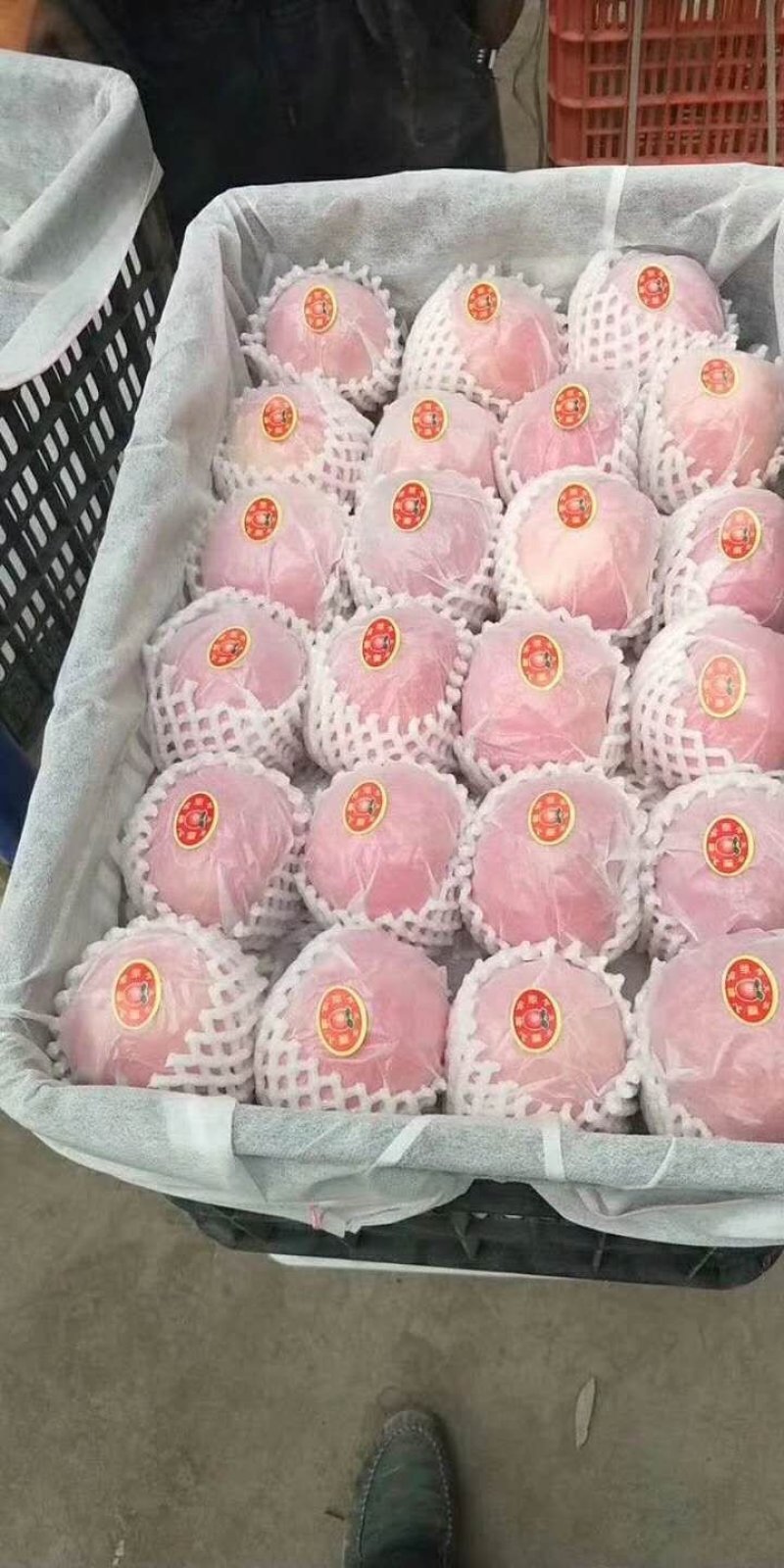 正宗新疆阿克苏苹果，产地直供，冰糖心苹果80~90