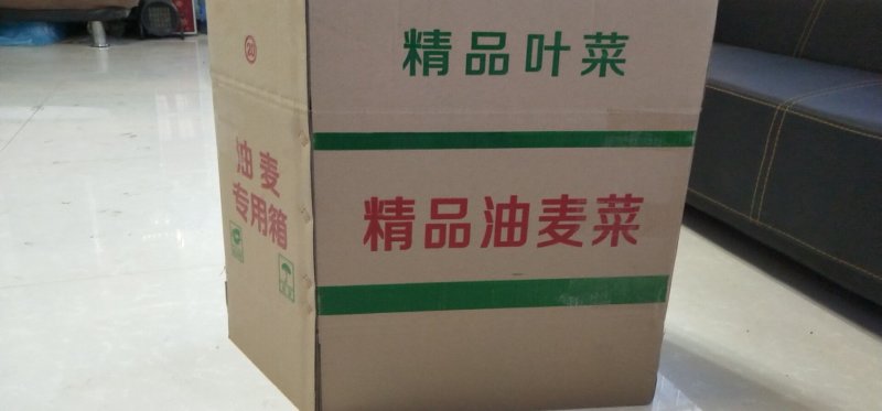 蔬菜纸箱包装